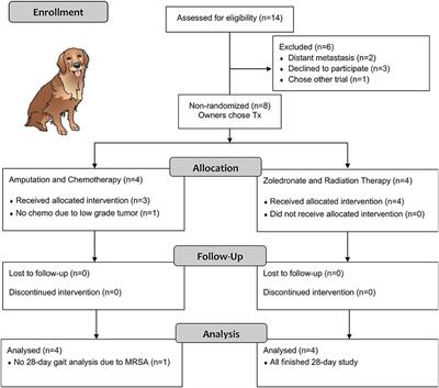 A Pilot Study of Cancer-Induced Bone Pain Using Validated Owner Questionnaires, Serum N-Telopeptide Concentration, Kinetic Analysis, and PET/CT